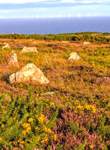 Hill O'Many Stanes